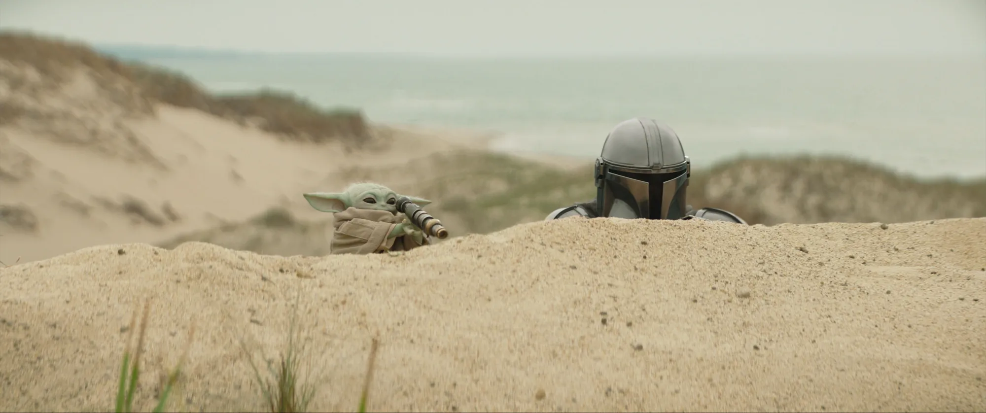 The Mandalorian and Grogu