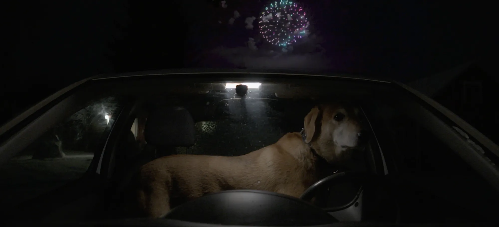 Kappale kauneinta Suomea – The Beauty of Errors