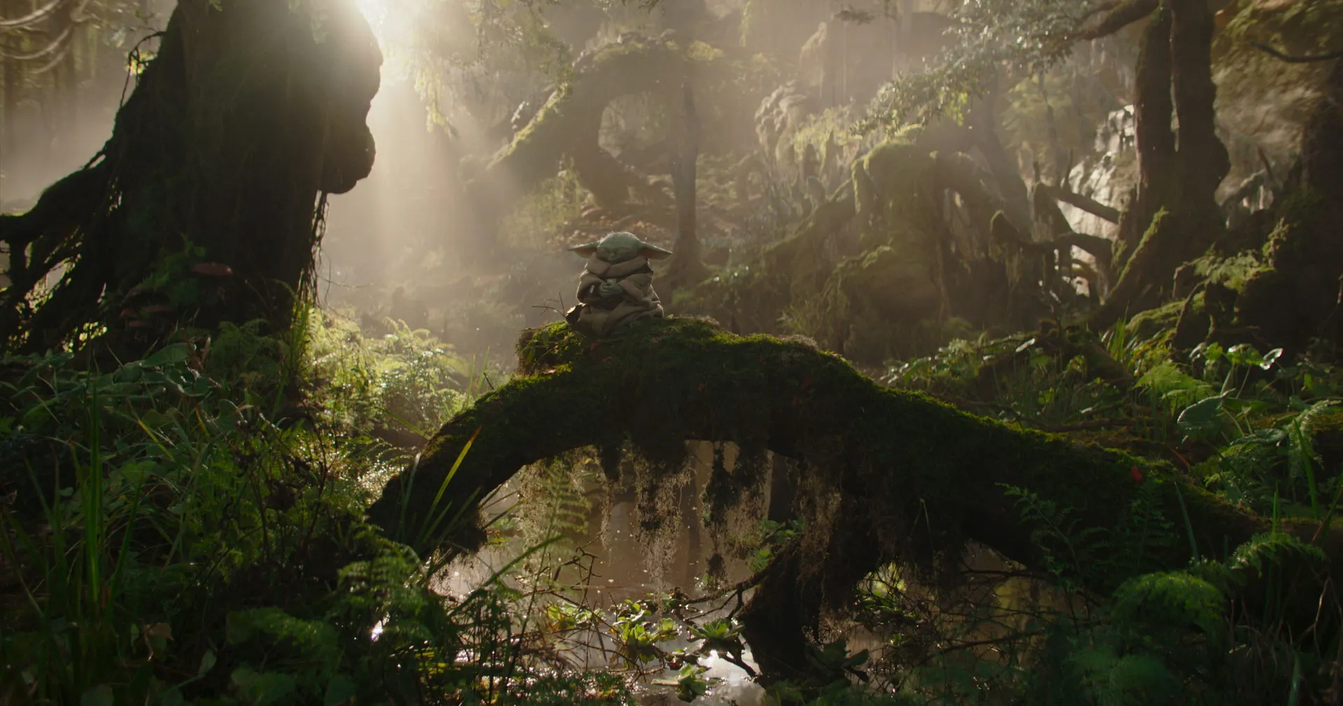 The Mandalorian and Grogu