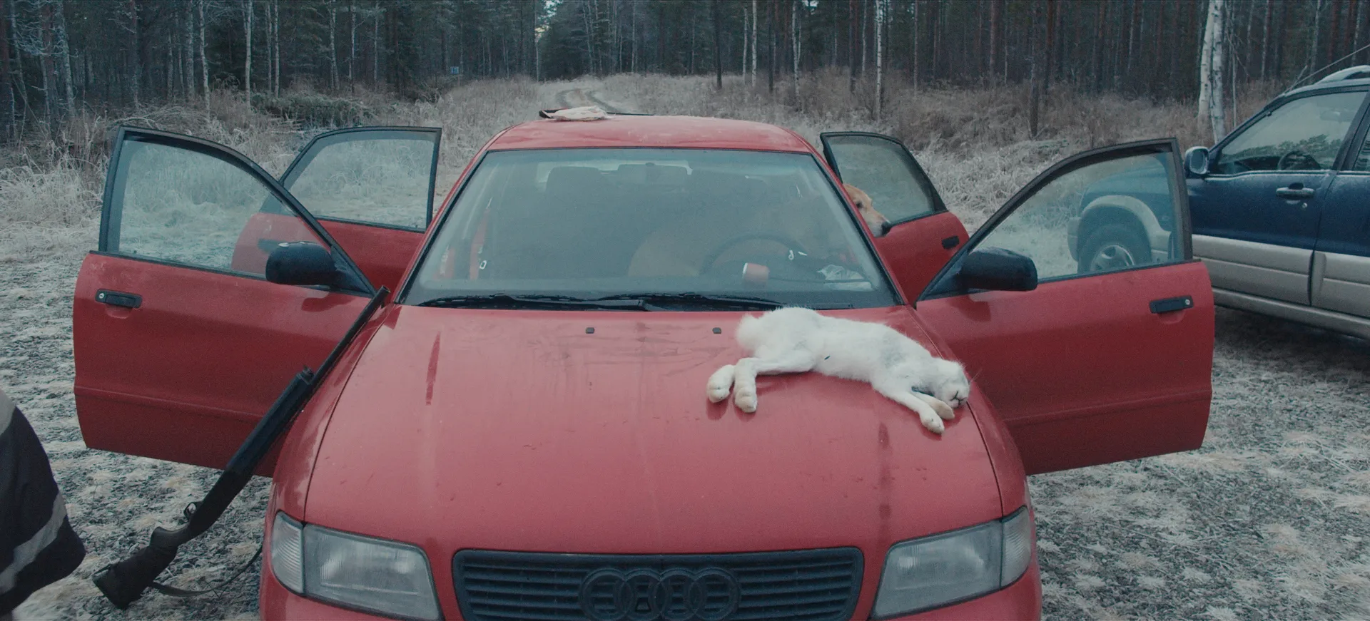 Kappale kauneinta Suomea – The Beauty of Errors