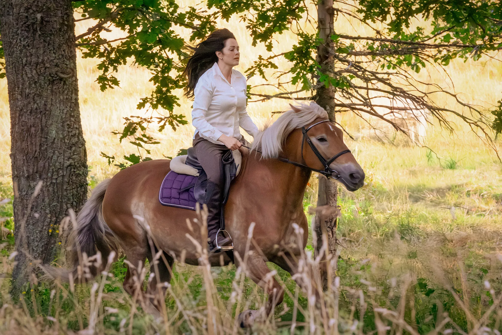 Kaunis rietas onnellinen