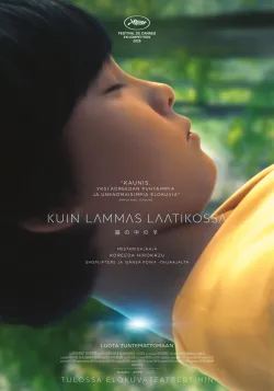 Kuin lammas laatikossa