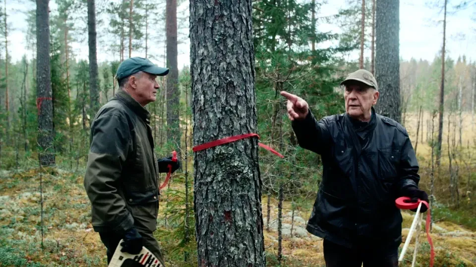 Rokumentti: Metsäsota ja rauha